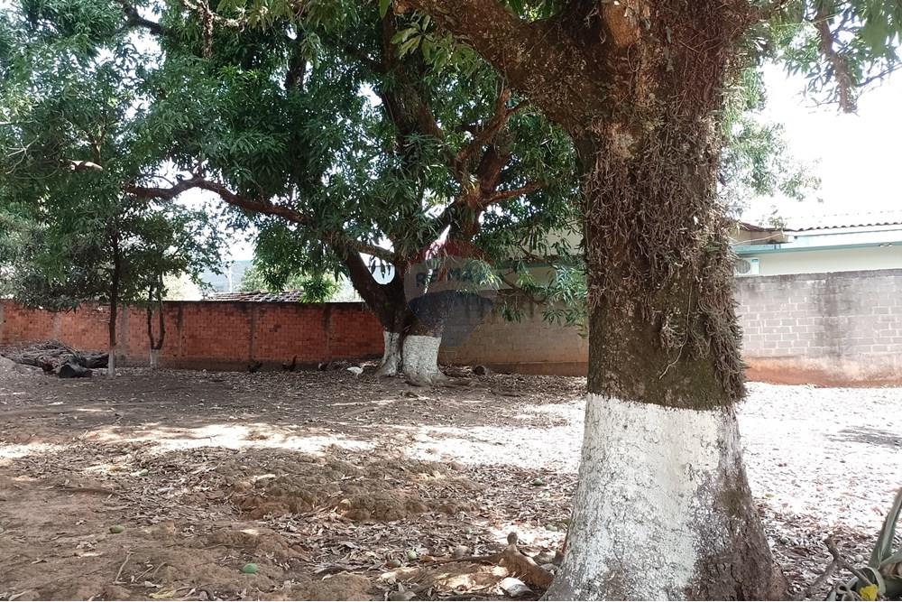 Terreno - Venda - Cosmópolis , São Paulo - fachada (21).jpg - Jardim Interno - 690831047-354