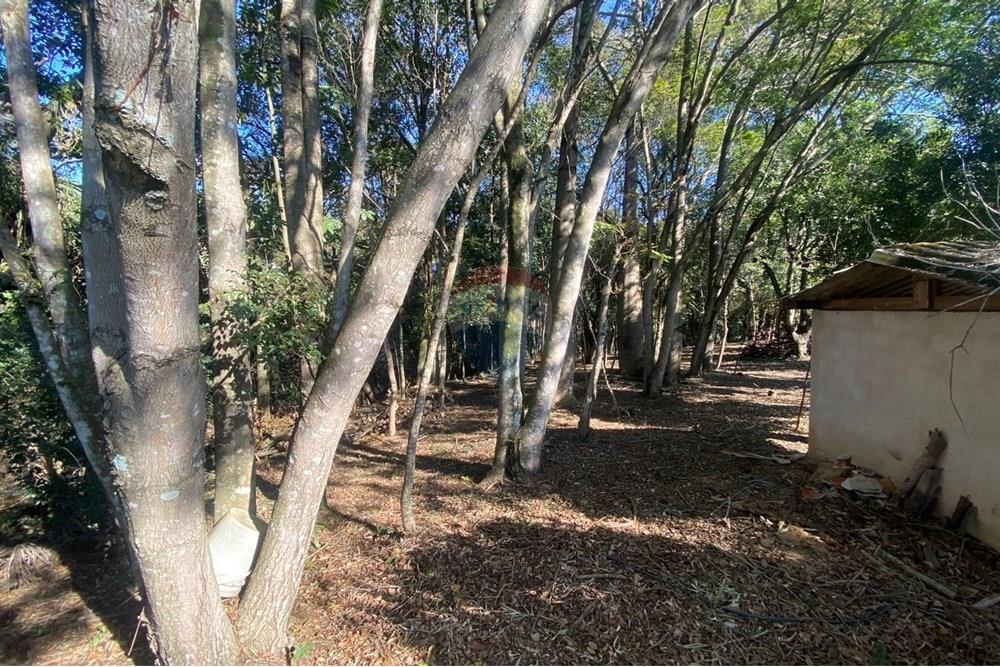 Chácara / Sítio / Fazenda - Venda - Extrema , Minas Gerais - c080fecf-3ad6-400f-a65b-c2cf619b72a1.jpeg - 690041107-5