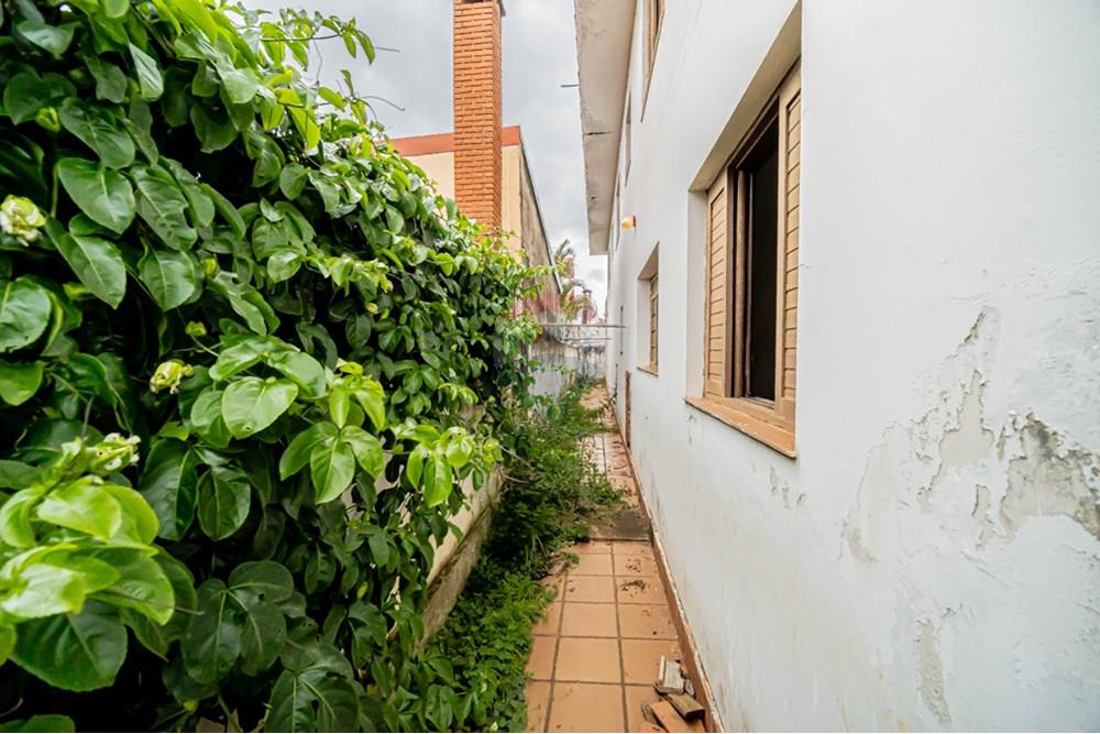 Casa de Condomínio - Venda - Cotia , São Paulo - 22.jpg - Quintal - 691151015-29