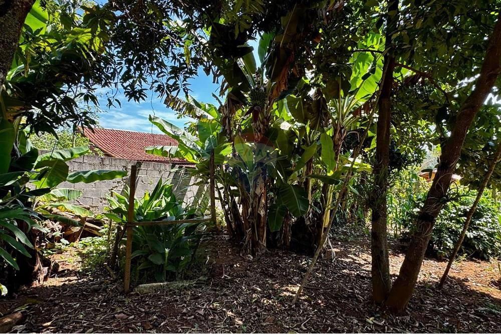 Chácara / Sítio / Fazenda - Venda - Jarinu , São Paulo - z9.jpg - 691121003-14