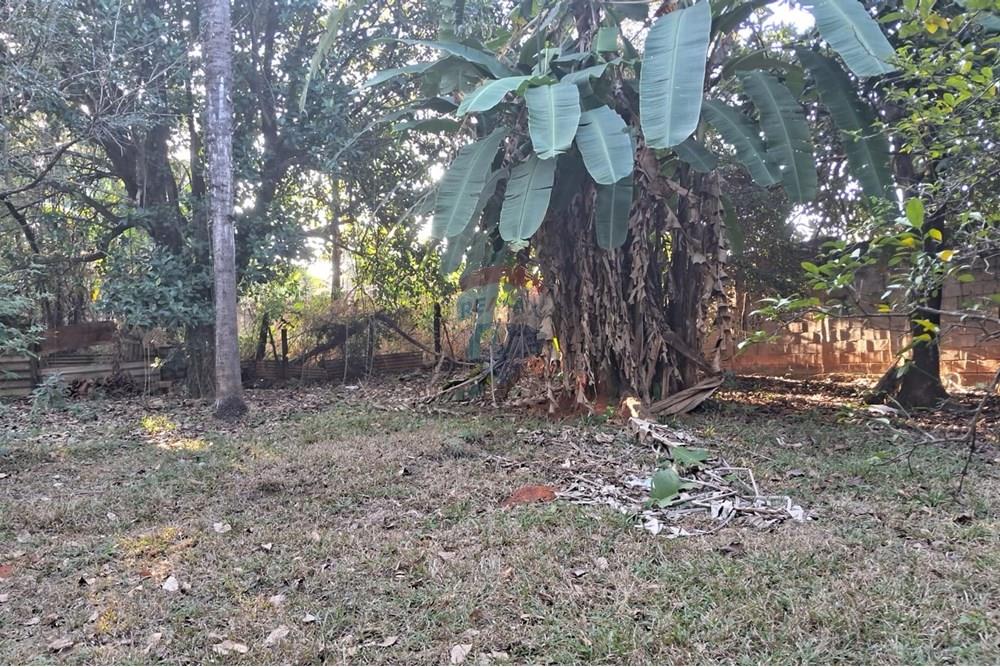 Chácara / Sítio / Fazenda - Venda - Mogi Mirim , São Paulo - chacara paola 20.jpeg - 690751036-62