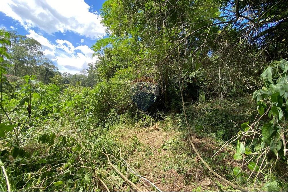 Terreno - Venda - Mairiporã , São Paulo - 5c0d50e9-3af8-4097-8e2d-c75363bba234.jpeg - 690041107-11