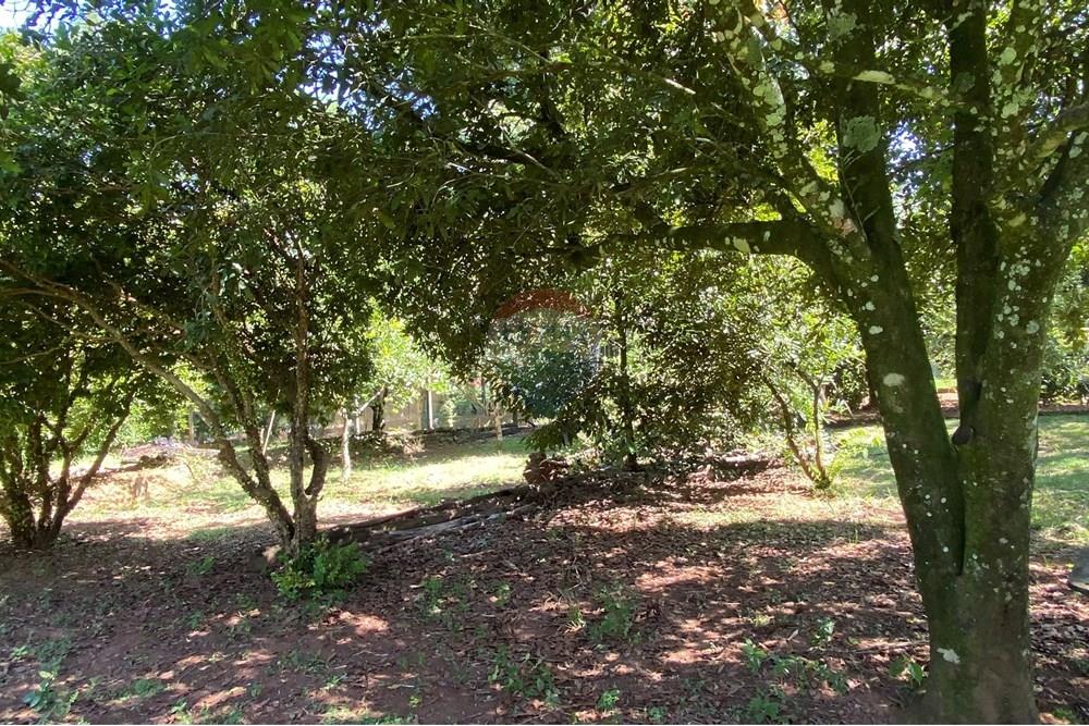 Chácara / Sítio / Fazenda - Venda - Jarinu , São Paulo - Z33.JPEG - 691121002-22