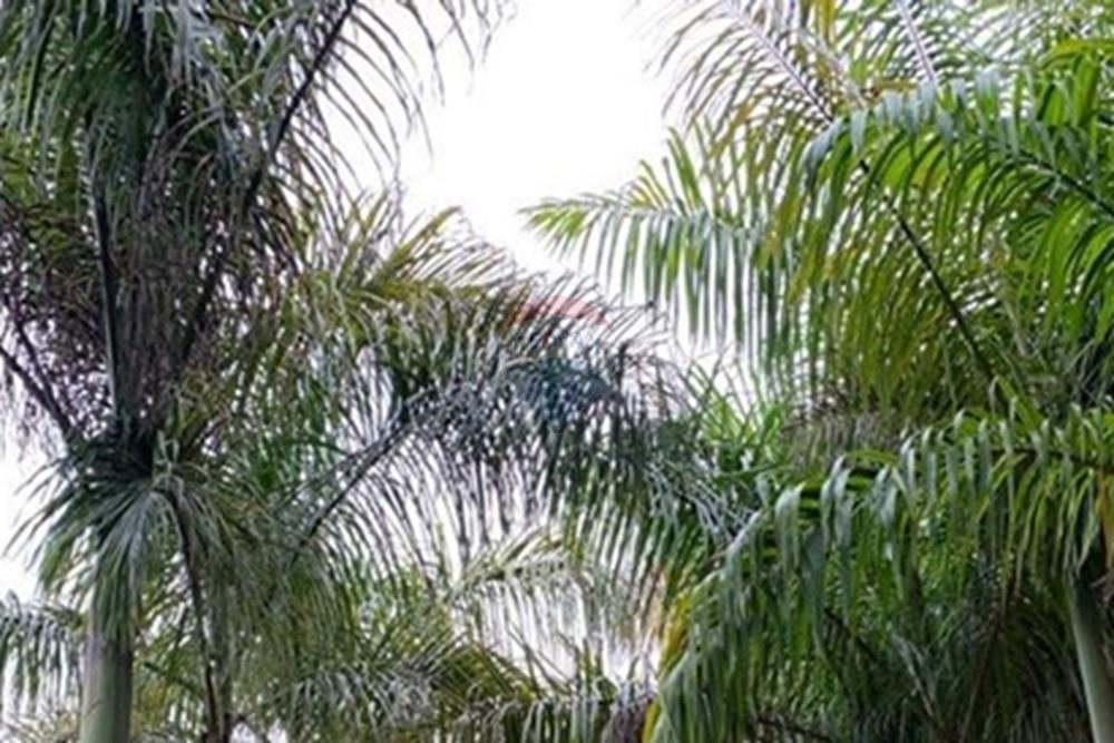 Chácara / Sítio / Fazenda - Venda - Amparo , São Paulo - WhatsApp Image 2025-06-25 at 17.42.27 (1).jpeg - 690661027-111