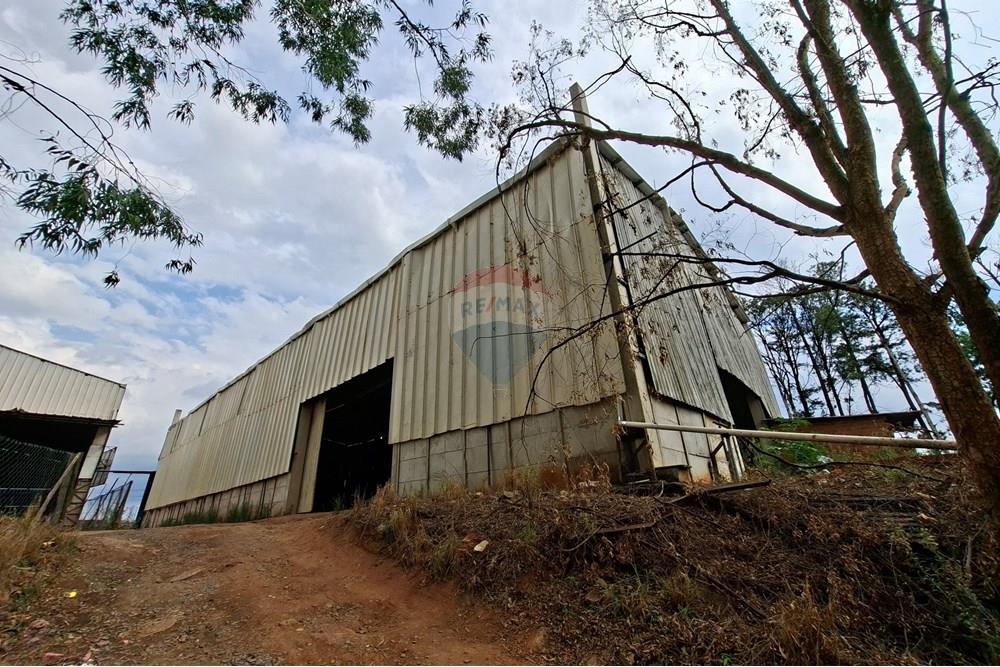 Galpão - Alugar - Mogi Mirim , São Paulo - 20251028_150151.jpg - 690751049-274