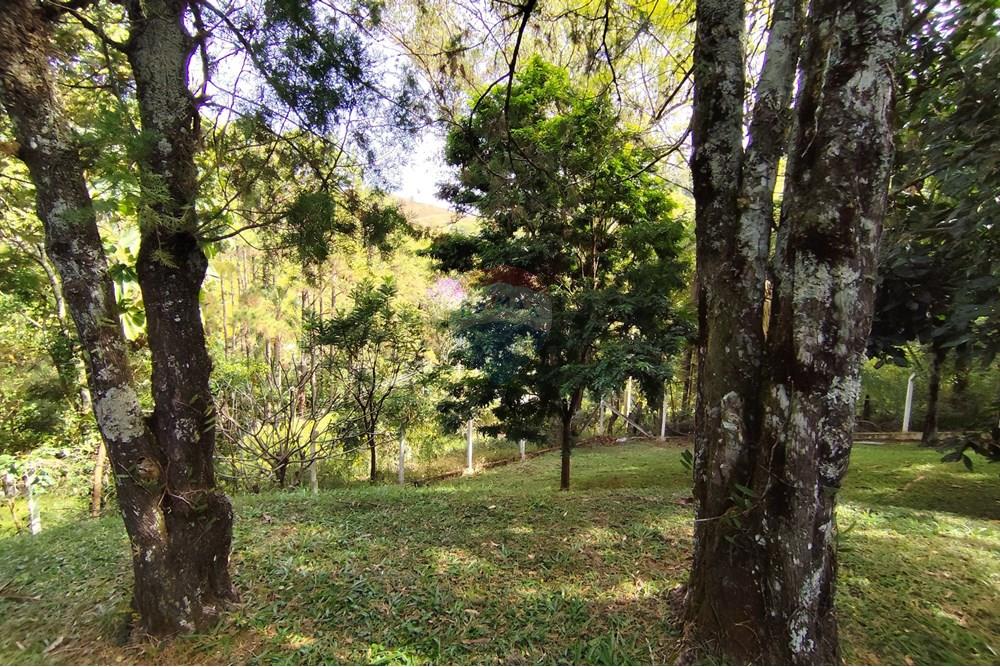 Chácara / Sítio / Fazenda - Venda - Águas de Lindóia , São Paulo - 1750451209998.jpg - 690521007-293