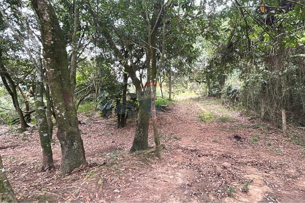 Chácara / Sítio / Fazenda - Venda - Amparo , São Paulo - WhatsApp Image 2025-06-24 at 11.21.31 (4).jpeg - 690661027-111