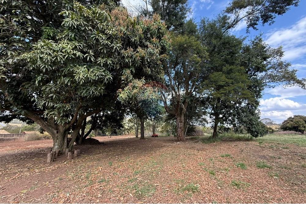 Terreno - Venda - Bragança Paulista , São Paulo - WhatsApp Image 2025-08-25 at 15.25.12.jpeg - 690041010-105