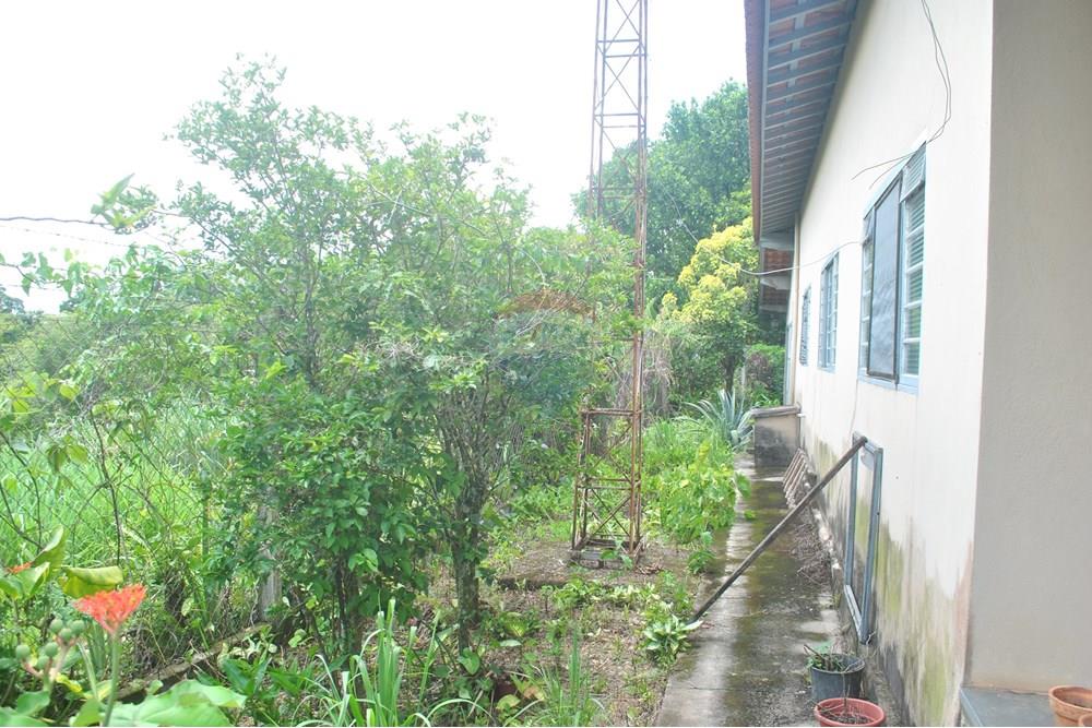 Chácara / Sítio / Fazenda - Alugar - Jaguariúna , São Paulo - DSC_0031.JPG - 690671057-4