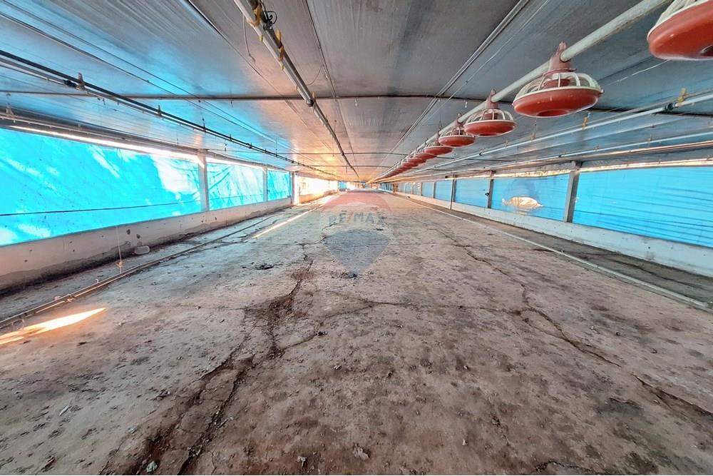 Chácara / Sítio / Fazenda - Venda - Itapira , São Paulo - 20250626_094946.jpg - 690751048-290