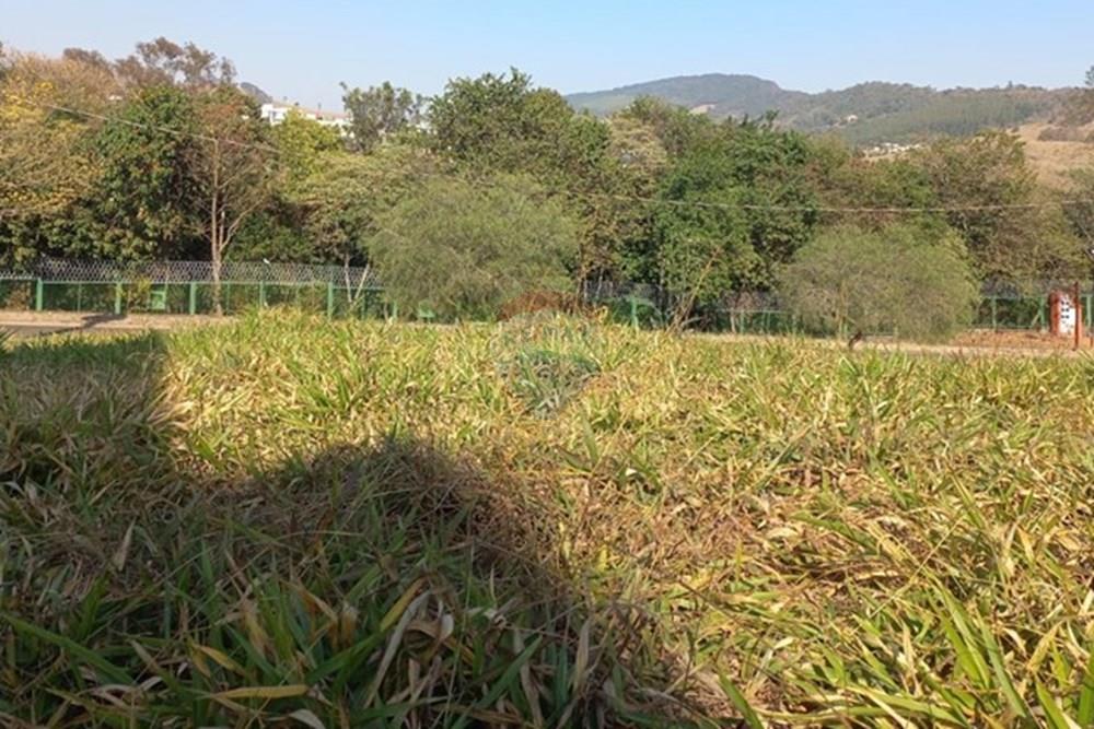 Terreno - Venda - Socorro , São Paulo - WhatsApp Image 2025-08-11 at 20.06.22.jpeg - 690041151-18