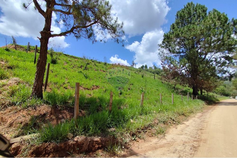 Terreno - Venda - Serra Negra , São Paulo - IMG_20241030_110740.jpg - 690291077-60