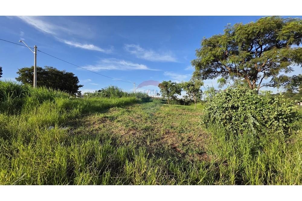Terreno - Venda - Araraquara , São Paulo - Imagem do WhatsApp de 2025-02-27 à(s) 17.42.56_227e33de.jpg - 690151043-72