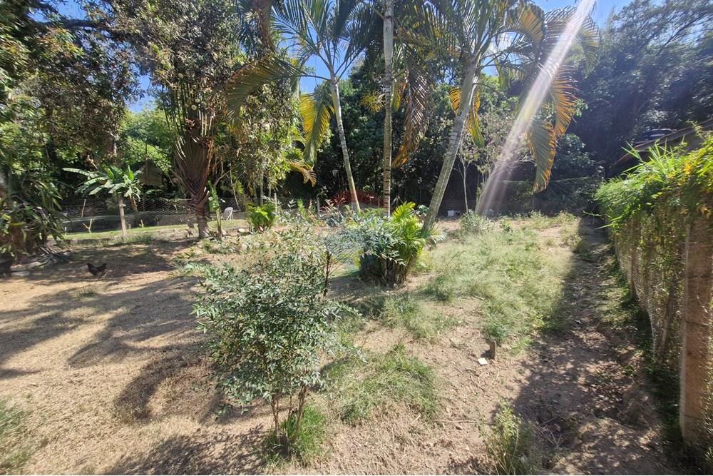 Chácara / Sítio / Fazenda - Venda - Jaguariúna , São Paulo - 20250912_095340.jpg - Quintal - 690671050-41