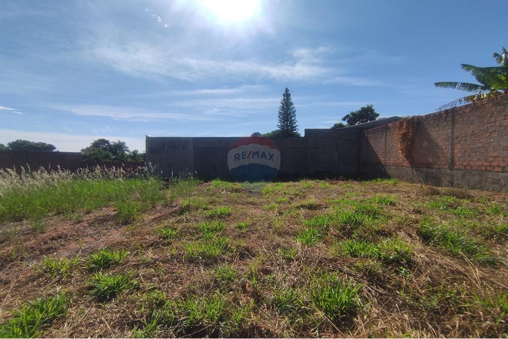 Terreno - Venda - Mogi Mirim , São Paulo - IMG_20250417_093246.jpg - 690751048-122