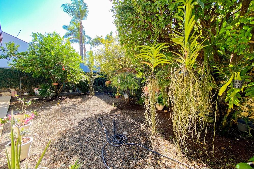 Casa - Venda - Mogi Mirim , São Paulo - IMG_3506.jpg - Quintal - 690751017-122