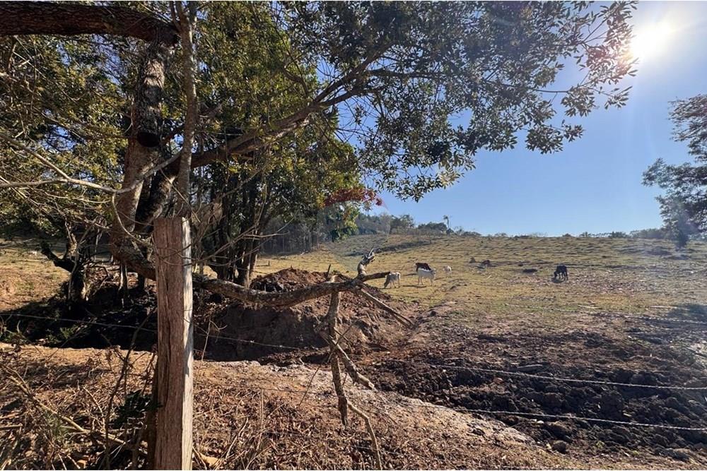 Terreno - Venda - Tuiuti , São Paulo - WhatsApp Image 2025-10-06 at 14.47.27 (5).jpeg - 690041052-114