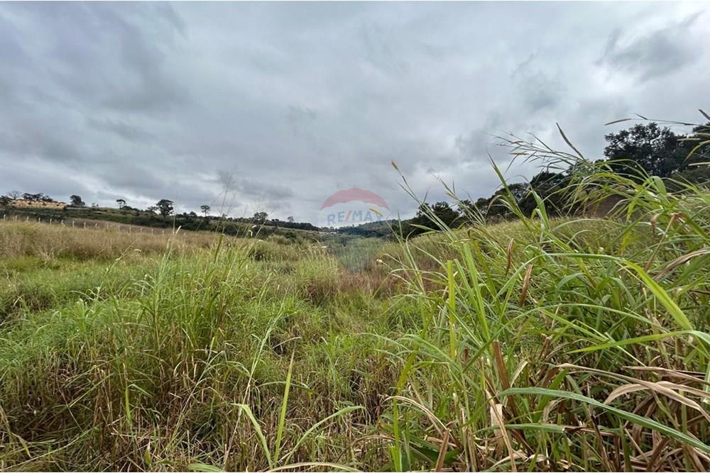 Terreno - Venda - Jarinu , São Paulo - WhatsApp Image 2025-07-04 at 18.07.14 (1).jpeg - 690661027-116