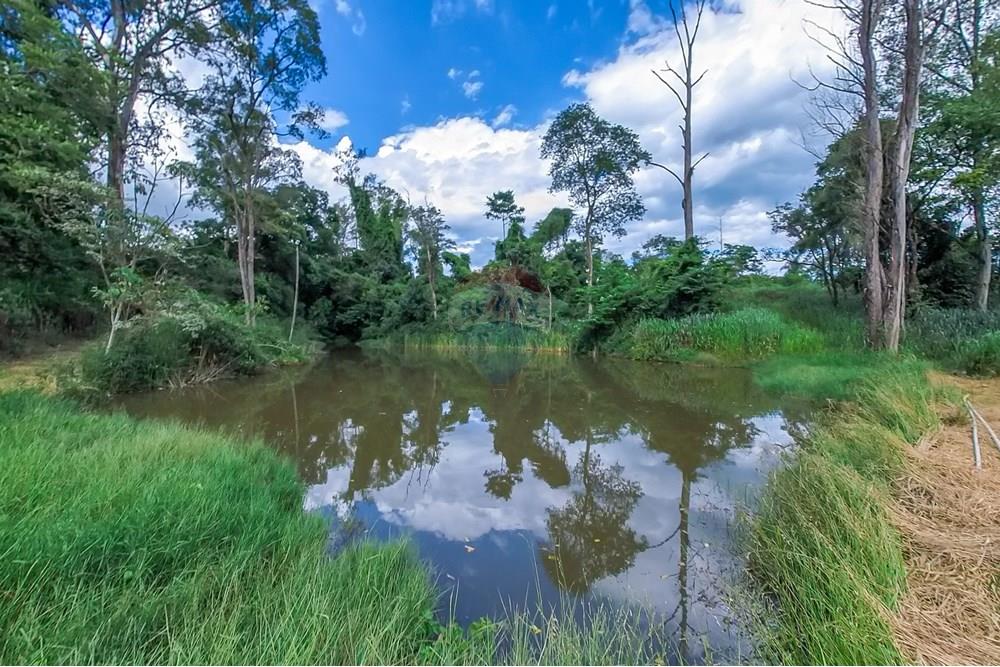 Chácara / Sítio / Fazenda - Venda - Araras , São Paulo - Tratada-61.jpg - 690691016-236