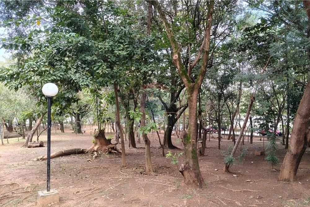 Apartamento - Alugar - Americana , São Paulo - WhatsApp Image 2025-06-27 at 15.56.12 (1).jpeg - 690641045-330