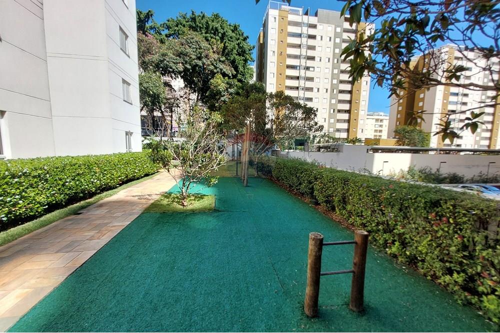 Apartamento - Venda - Campinas , São Paulo - 20250927_094142.jpg - 690181001-428