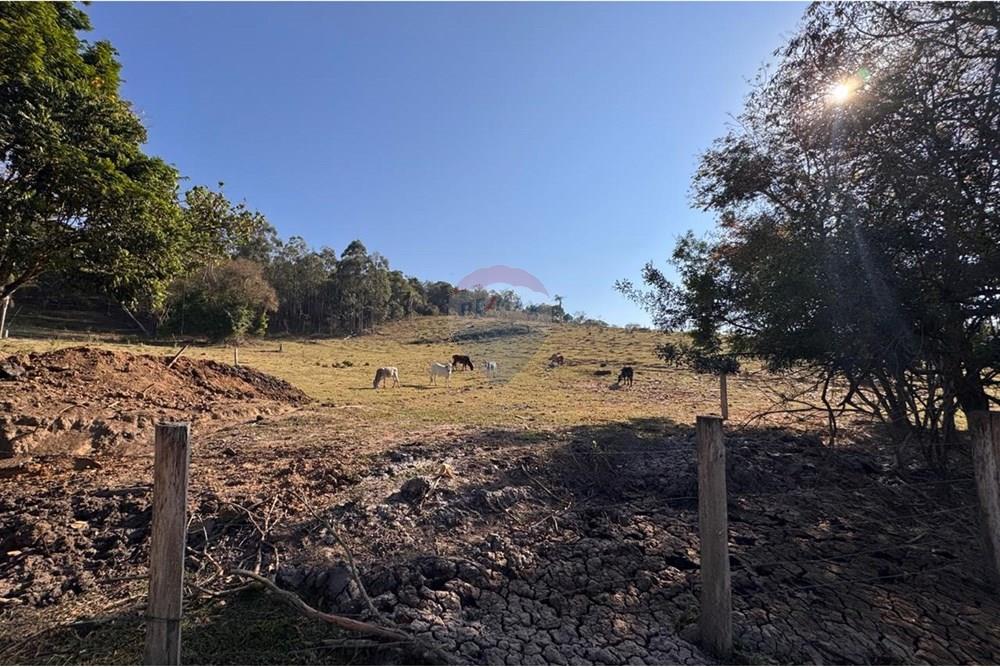 Terreno - Venda - Tuiuti , São Paulo - WhatsApp Image 2025-10-06 at 14.47.27 (1).jpeg - 690041052-114