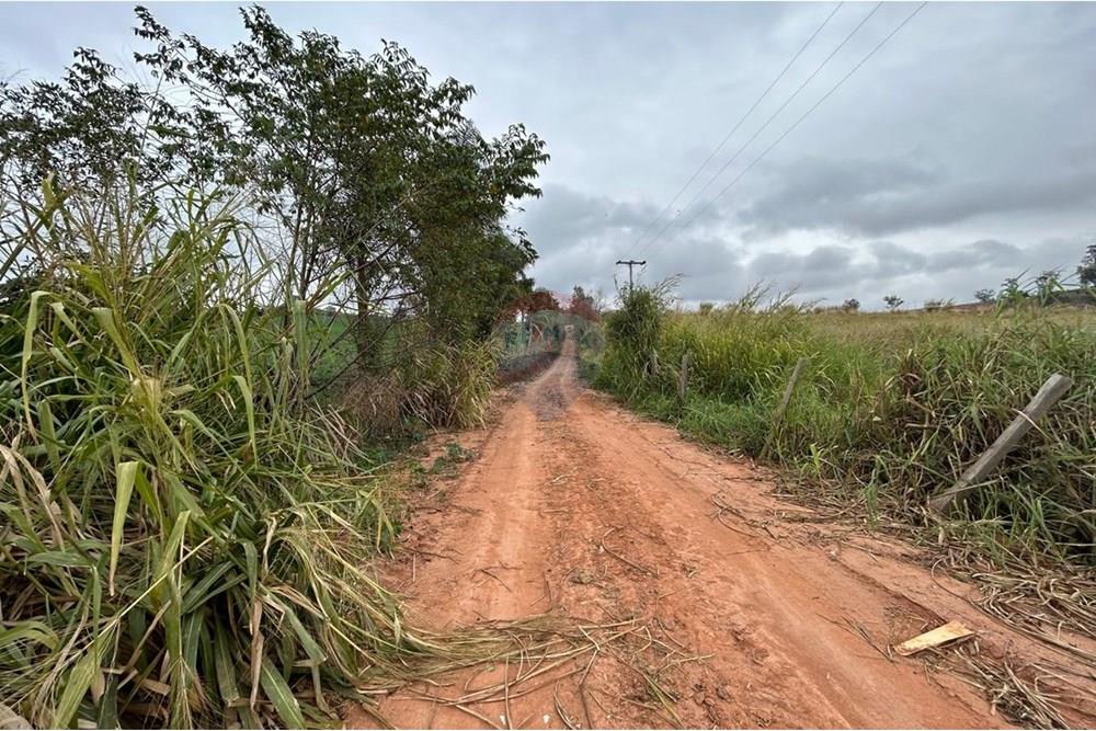 Terreno - Venda - Jarinu , São Paulo - WhatsApp Image 2025-07-04 at 18.07.13.jpeg - 690661027-116