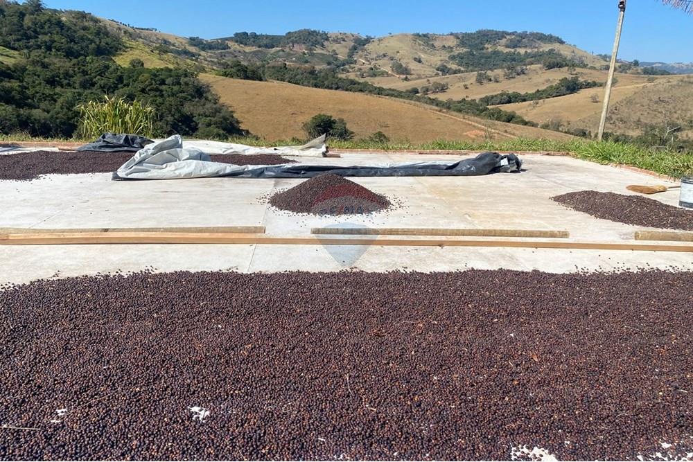 Chácara / Sítio / Fazenda - Venda - Monte Sião , Minas Gerais - WhatsApp Image 2025-07-18 at 18.07.58 (1).jpeg - Jardim Externo - 690291077-219