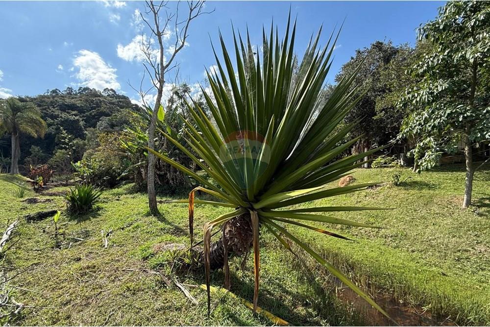Chácara / Sítio / Fazenda - Venda - Ouro Fino , Minas Gerais - 654d3581-5f6d-4316-a31f-40fa9ff4cbc2.jpg - Jardim Externo - 690521014-121