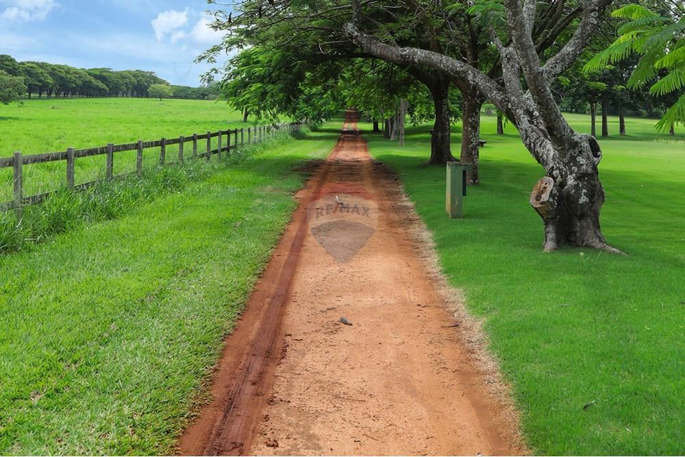 Casa de Condomínio - Alugar - Jaguariúna , São Paulo - Natureza2.jpg - 690671066-36