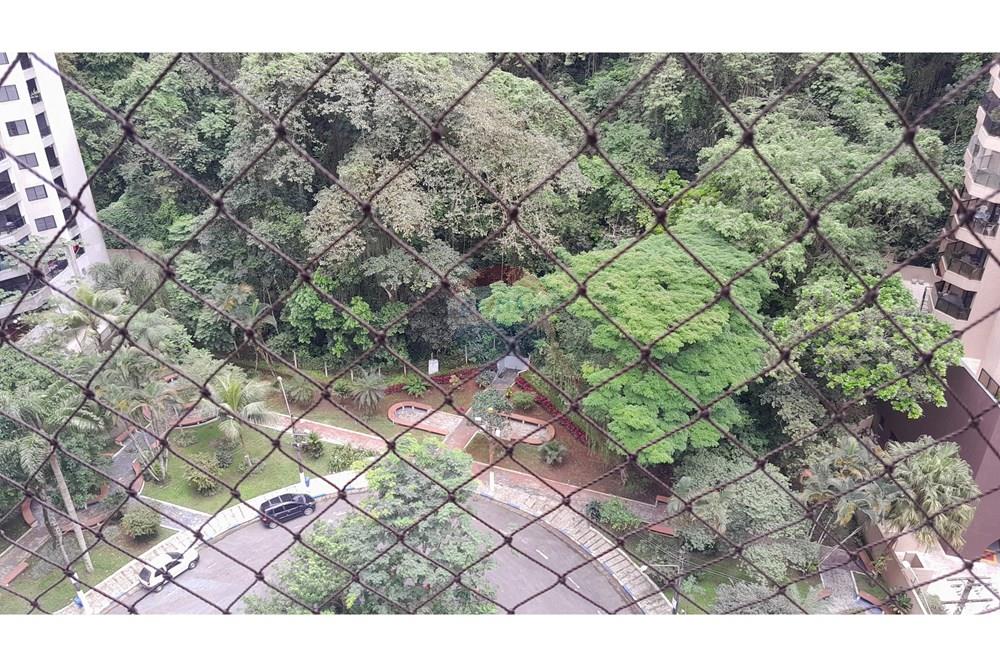 Apartamento - Venda - Guarujá , São Paulo - 20241119_105312.jpg - 690551040-154