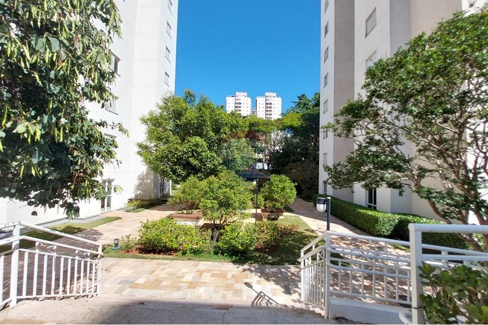 Apartamento - Venda - Campinas , São Paulo - 20250927_093718.jpg - 690181001-428