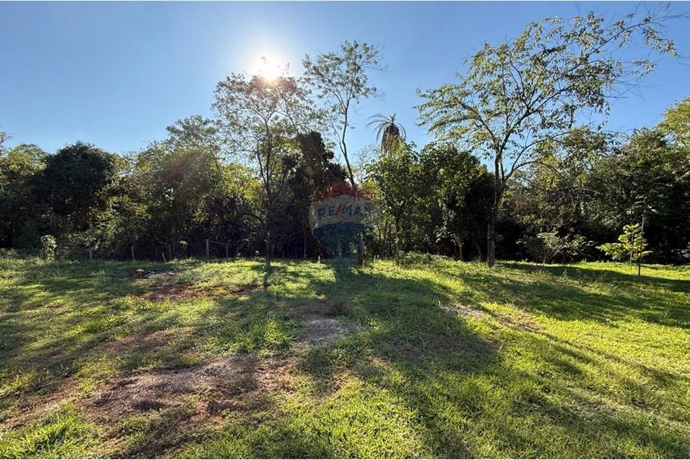 Chácara / Sítio / Fazenda - Venda - Itapira , São Paulo - WhatsApp Image 2025-06-03 at 18.53.14 (1).jpeg - Jardim Externo - 690521014-122