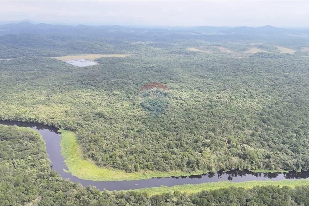 Fazenda - Venda - Iguape , São Paulo - WhatsApp Image 2025-08-11 at 16.22.16 (1).jpeg - 690061038-13