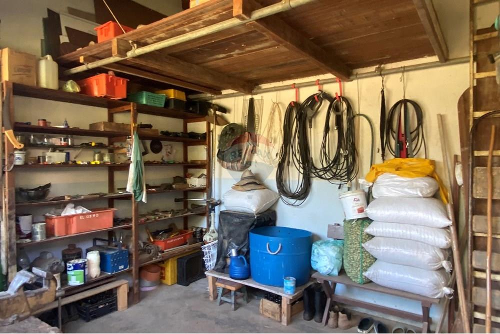 Chácara / Sítio / Fazenda - Venda - Jarinu , São Paulo - Z21.JPEG - 691121002-22