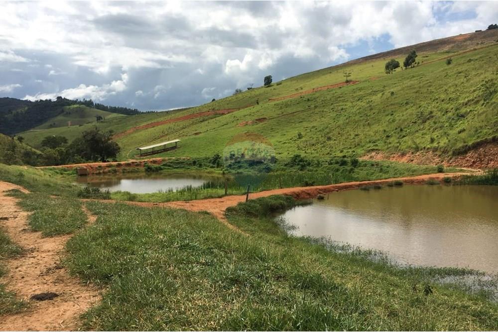 Fazenda - Venda - Socorro , São Paulo - WhatsApp Image 2025-05-14 at 13.19.39.jpeg - Pátio interno - 690521014-114