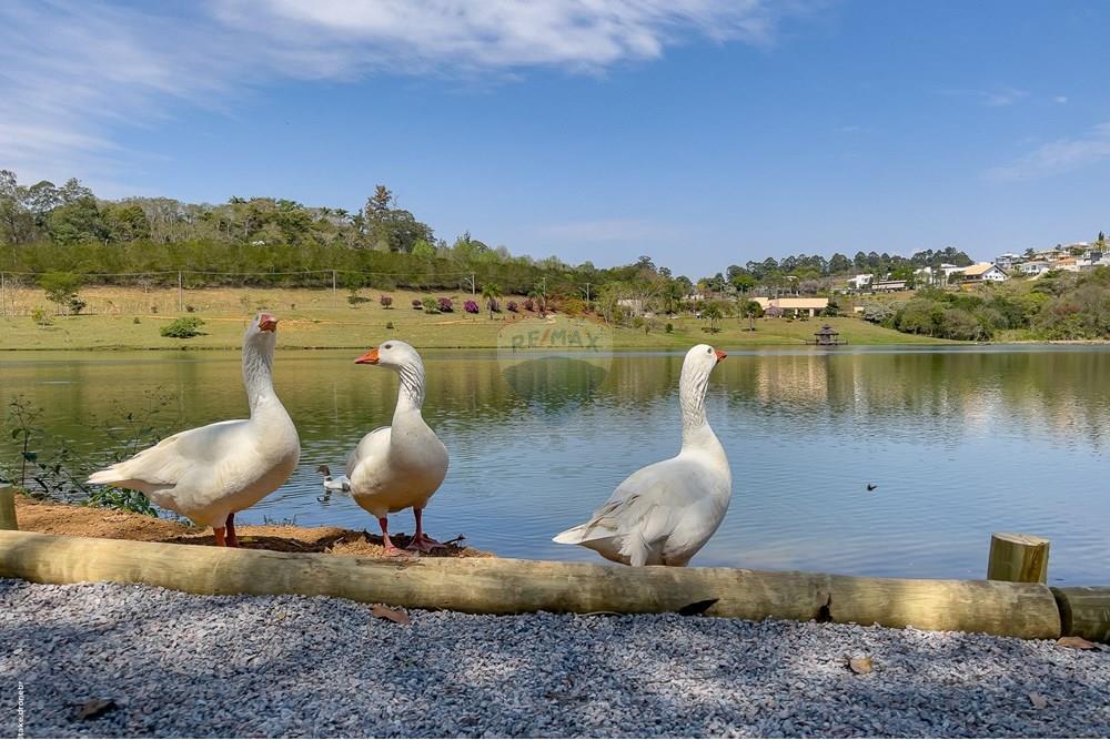 Casa de Condomínio - Venda - Itatiba , São Paulo - TKD-7254.jpg - 690941025-157