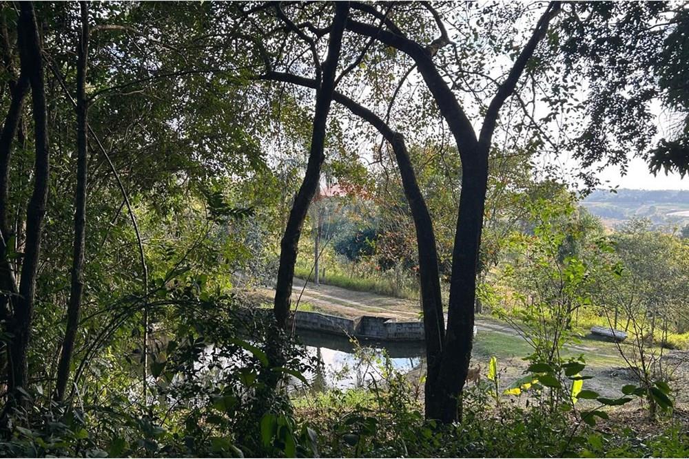 Chácara / Sítio / Fazenda - Venda - Atibaia , São Paulo - WhatsApp Image 2025-07-18 at 14.42.56 (8).jpeg - 690661027-125