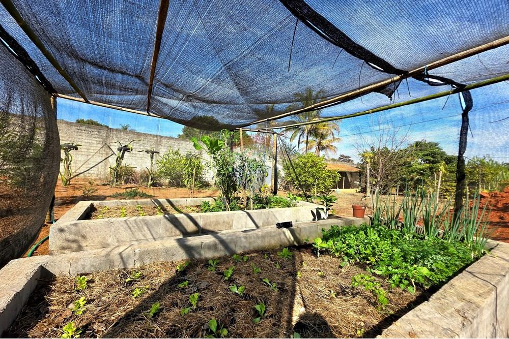 Chácara / Sítio / Fazenda - Venda - Mogi Mirim , São Paulo - 20250717_102834.jpg - 690751050-149