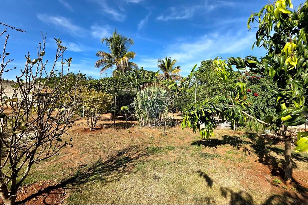 Chácara / Sítio / Fazenda - Venda - Mogi Mirim , São Paulo - 20250717_102712.jpg - 690751050-149