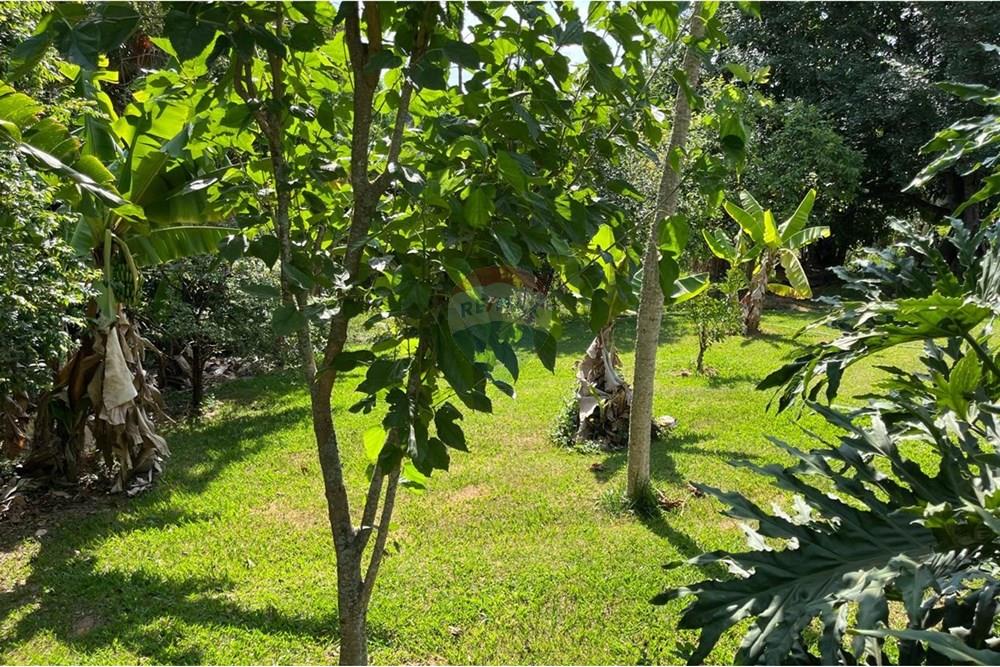 Chácara / Sítio / Fazenda - Venda - Jarinu , São Paulo - WhatsApp Image 2024-11-27 at 22.21.37.jpeg - 690661027-88