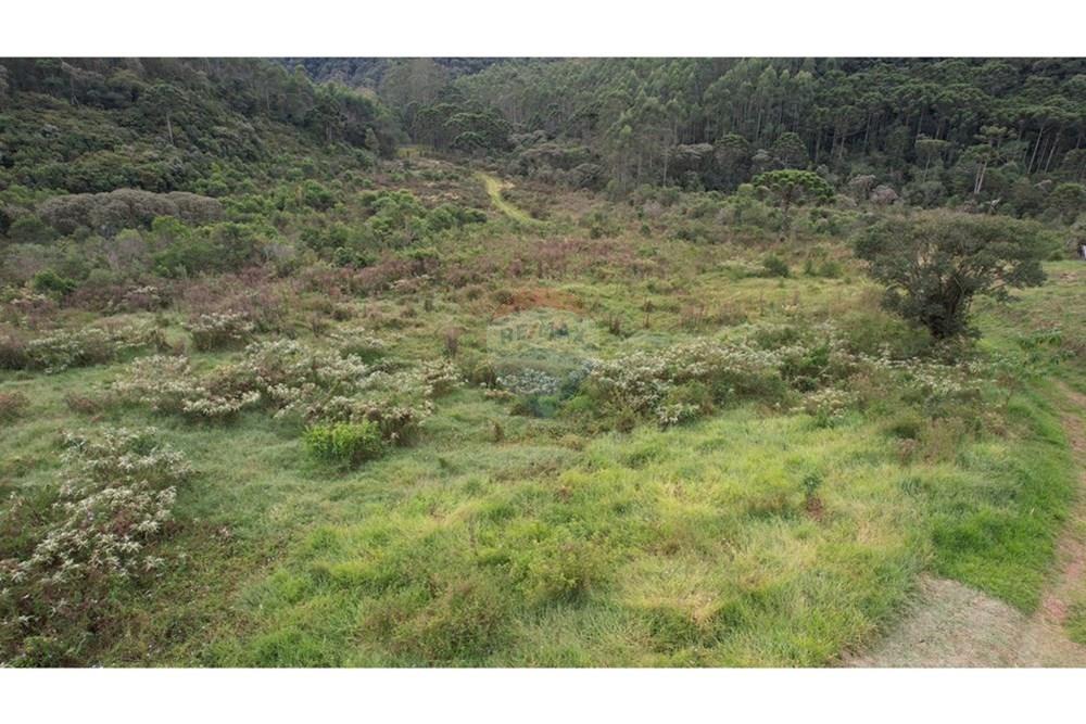 Chácara / Sítio / Fazenda - Venda - Joanópolis , São Paulo - WhatsApp Image 2024-11-19 at 09.21.31.jpeg - 691011021-45