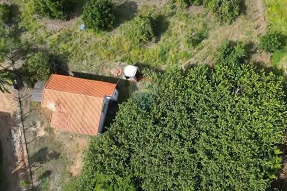 Chácara / Sítio / Fazenda - Venda - Itapira , São Paulo - IMG-20250713-WA0601.jpg - 690291077-251