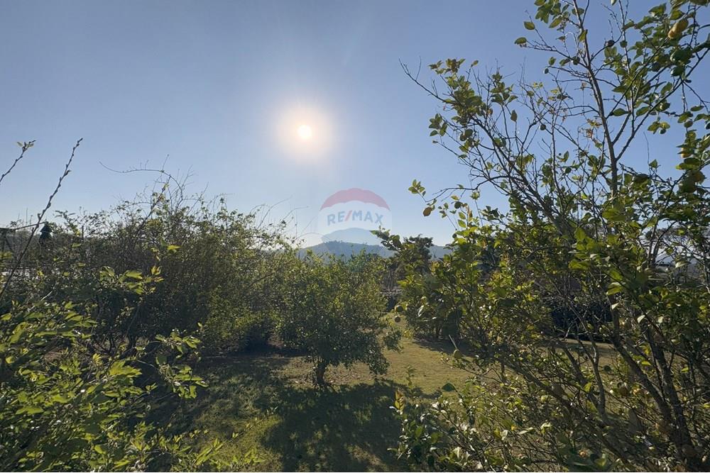 Terreno - Venda - Piracaia , São Paulo - IMG_8841.jpeg - 690041052-120