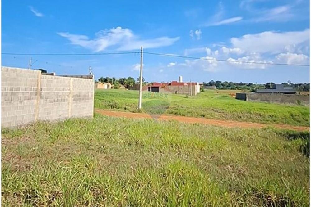 Terreno - Alugar - Mogi Mirim , São Paulo - IMG-20241209-WA0042.jpg - 690751048-95