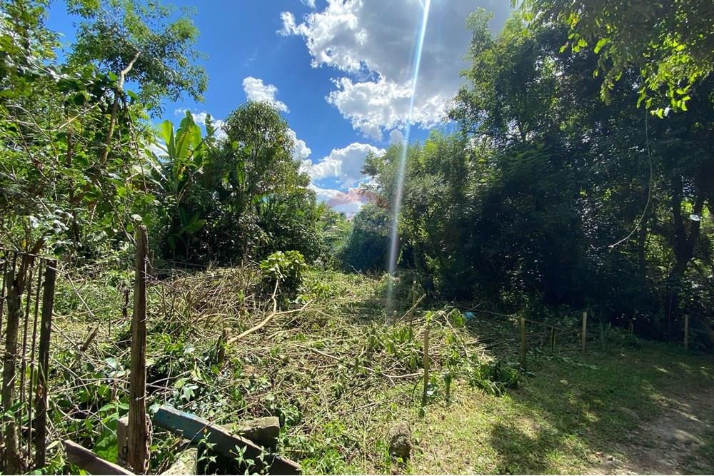 Terreno - Venda - Mairiporã , São Paulo - d95bf3ab-3878-4565-b47a-2e67c396c483.jpeg - 690041107-11