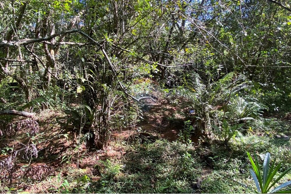 Chácara / Sítio / Fazenda - Venda - Jarinu , São Paulo - z12.JPEG - 691121002-11