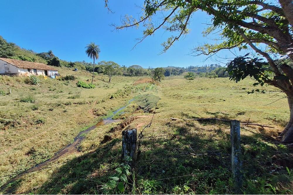 Chácara / Sítio / Fazenda - Venda - Itapira , São Paulo - 20250626_110556.jpg - 690751048-290