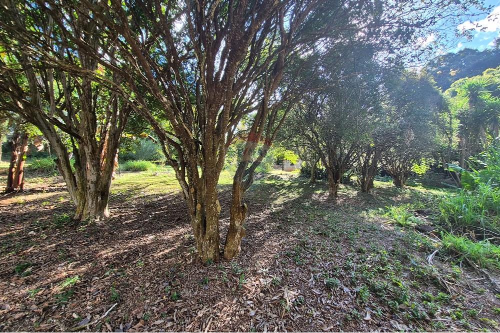 Chácara / Sítio / Fazenda - Venda - Amparo , São Paulo - 20250807_150250.jpg - 690681097-40