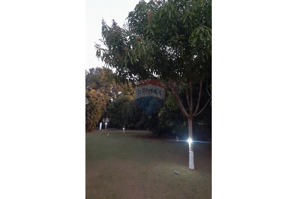 Chácara / Sítio / Fazenda - Venda - Cosmópolis , São Paulo - Imagem do WhatsApp de 2025-06-04 à(s) 10.15.01_cc01dd8d.jpg - 691181018-28